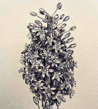 איור: אורי עובד פנאי איור של אורי עובד