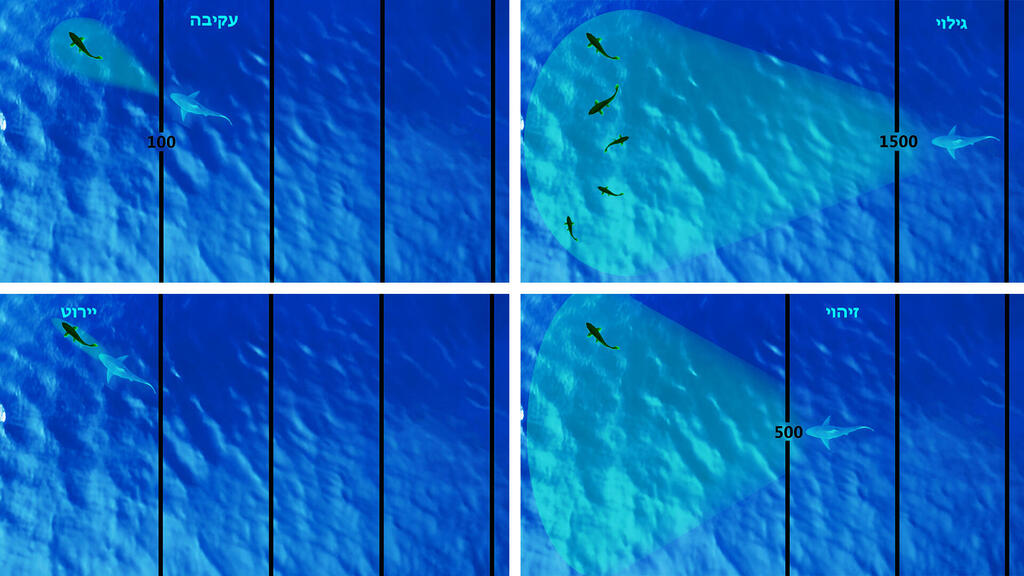 הקברניט הפצצה תקיפה מטרות