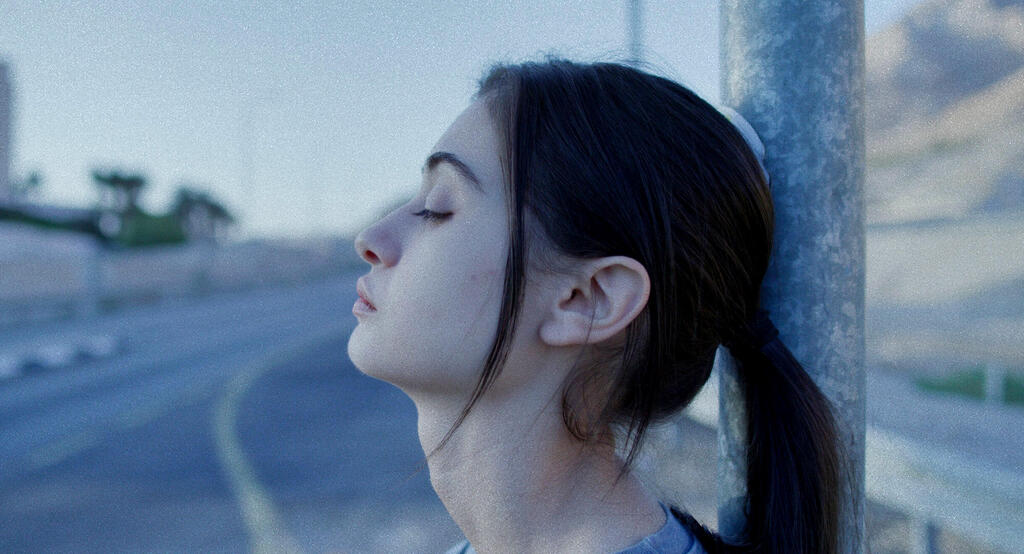 פנאי אורי אבינועם  על כלבים ואנשים