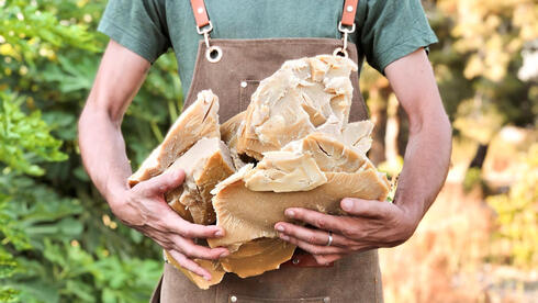 צילום: דולב פרנקו, מקור המלאכה במגמת צמיחה: כל הדברים השווים לט"ו בשבט