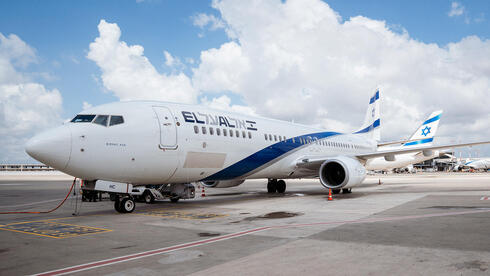 צילום: עפרי ברנע אל על לא תפעיל טיסות חילוץ לטאבה: "אזהרת מסע חמורה - בטיחות הנוסעים מעל הכל"