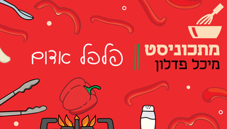 מתכוניסט פלפל אדום פנאי