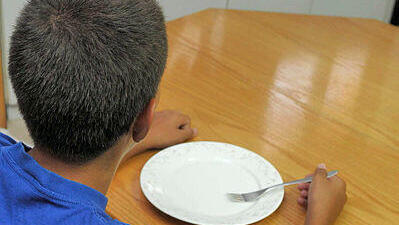 מפעל הזנה בבתי ספר מפעל ההזנה ארוחת צהריים חמה חוסר ביטחון תזונתי