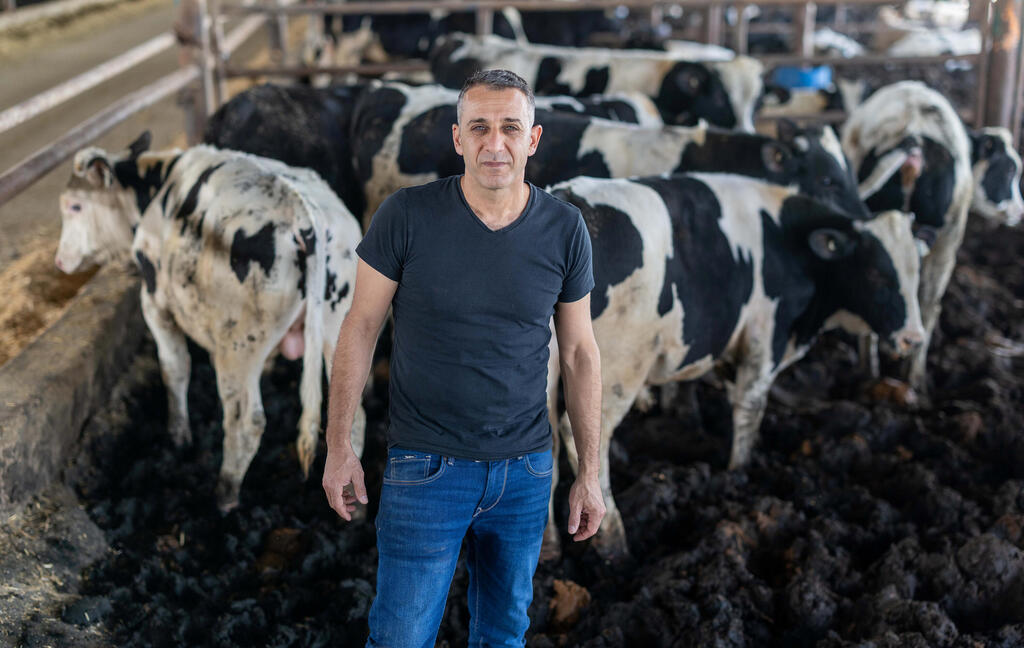 דמרי ברפת המשפחתית במושב גילת, השבוע. "כשהייתי עובד עם אבא, הוא היה מתקשר אליי בכל בוקר בארבע וחצי. מאז שהוא לא פה, אני לא צריך טלפון ולא צריך שעון. הדאגות והאחריות הן השעון המעורר הכי טוב שיש" דמרי ברפת המשפחתית במושב גילת, השבוע. "כשהייתי עובד עם אבא, הוא היה מתקשר אליי בכל בוקר בארבע וחצי. מאז שהוא לא פה, אני לא צריך טלפון ולא צריך שעון. הדאגות והאחריות הן השעון המעורר הכי טוב שיש"