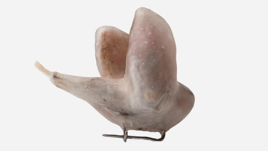 פנאי תכשיט מפוסל של עינת לידר