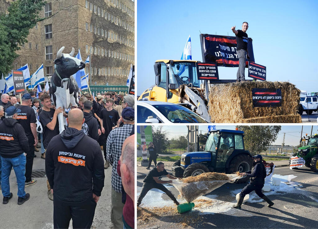 דמרי בהפגנות נגד רפורמת החלב (למעלה ולמטה), והפגנת רפתנים מול משרד האוצר. "כל עוד המדינה לא מטפלת בקרטלים ובכוח של המחלבות, הרשתות והיבואנים, שום רפורמה לא תוריד באמת את יוקר המחיה" (צילומים: באדיבות המרואיין) דמרי בהפגנות נגד רפורמת החלב )למעלה ולמטה( והפגנת רפתנים מול משרד האוצר. "כל עוד המדינה לא מטפלת בקרטלים ובכוח של המחלבות, הרשתות והיבואנים, שום רפורמה לא תוריד באמת את יוקר המחיה"