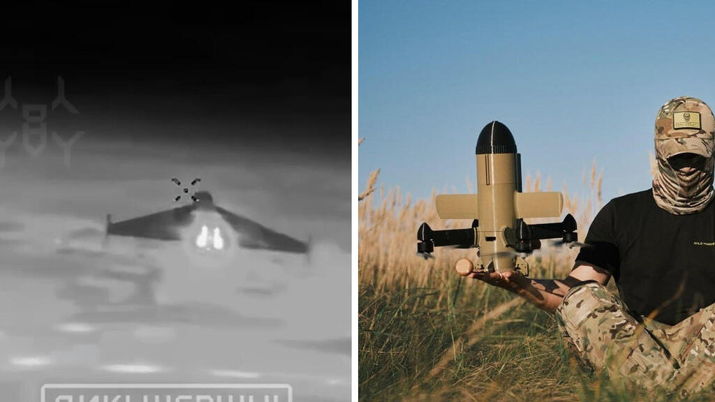 רעיון שחכם לאמץ. רחפן נגד כטב"מים שפותח באוקראינה (צילום: Wild Hornets) הקברניט כטב"מים אוקראינה