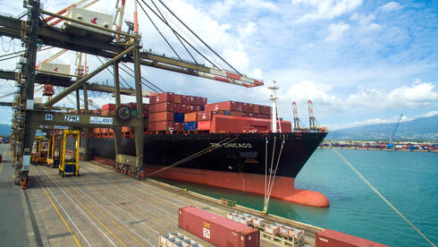 צילום: באדיבות ZIM זעם באוצר: צים טרם העבירה מסמכים הנדרשים לבחינת העסקה