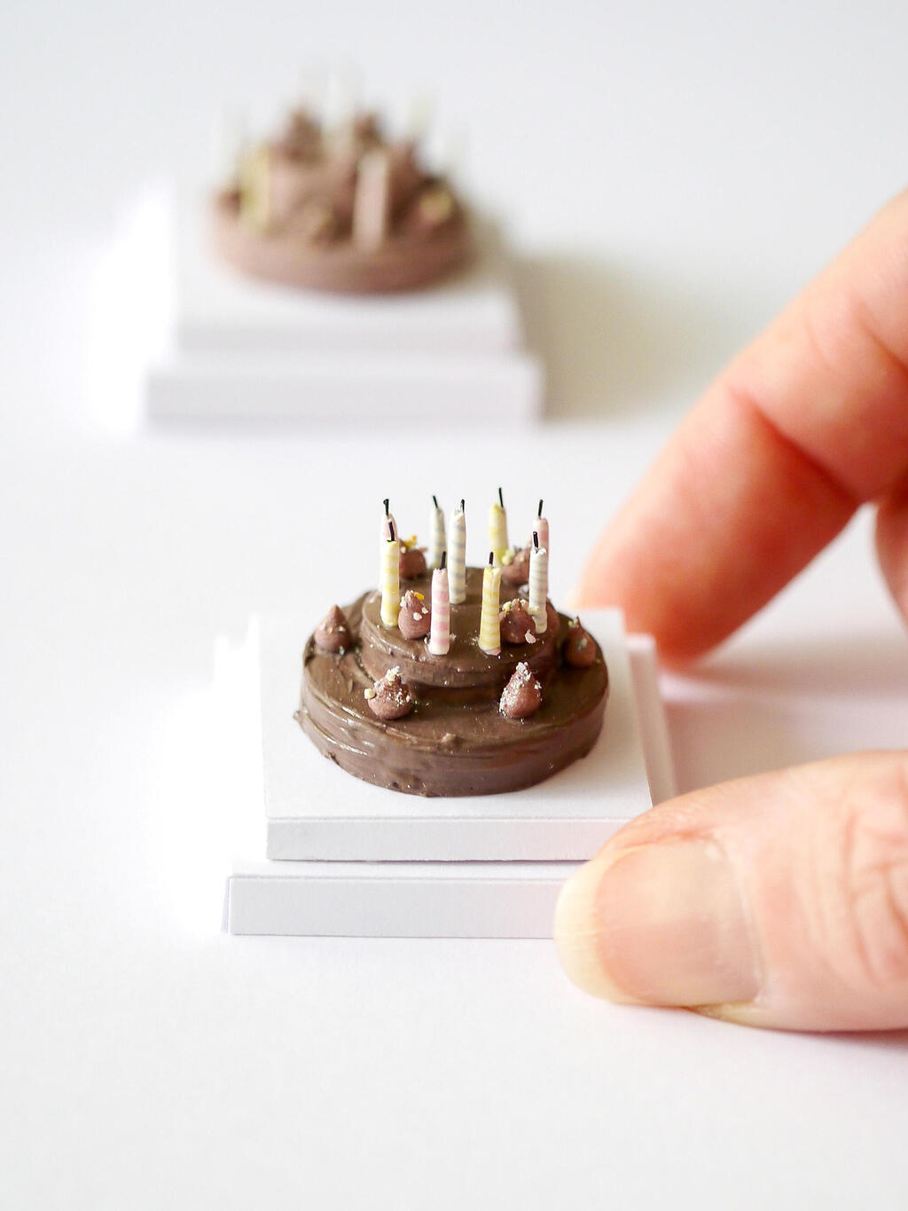 עוגה זערורית של נעמי אבליוביץ' פנאי