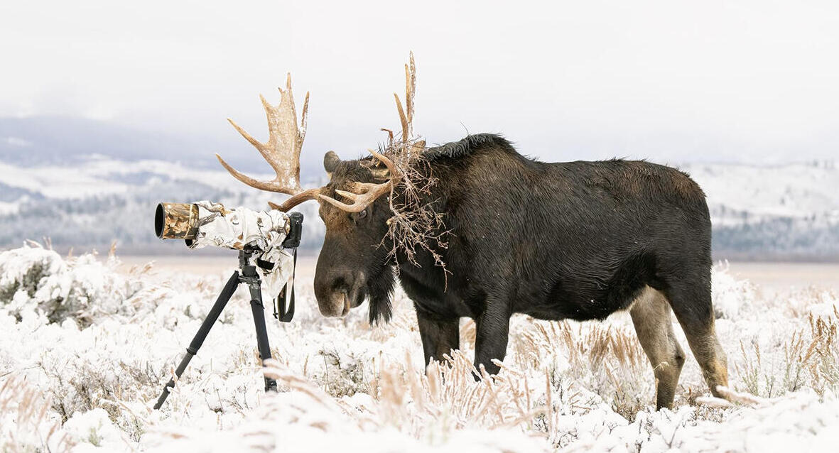 פוטו צלם הטבע של 2026 אנשים בטבע 