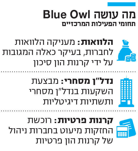 אינפו מה עושה Blue Owl
