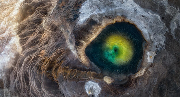 פוטו צלם הטבע של 2026 עין הדרקון 