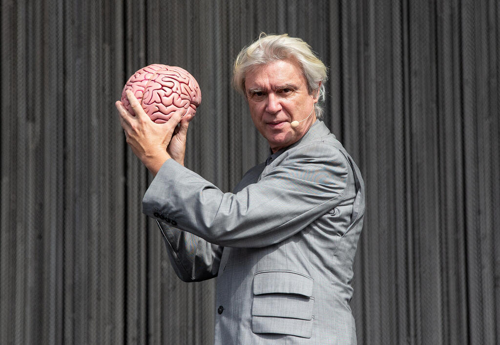 פנאי רדיו דיוויד בירן