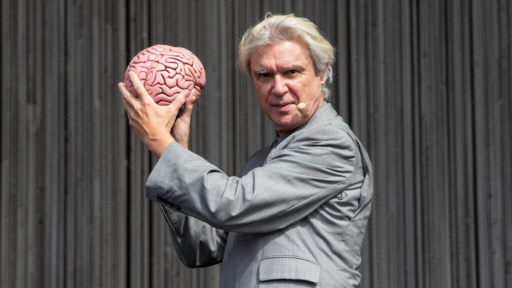 פנאי רדיו דיוויד בירן