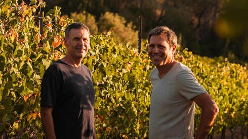 בעלי יקב פלם על גידול גפנים תחת אש: "הטבע לא עוצר וצריך לזמור"