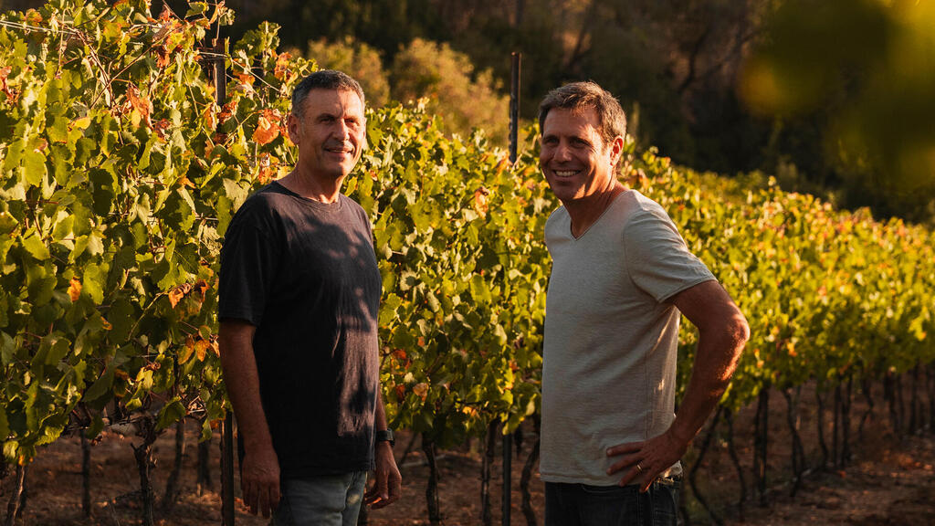  פנאי יקב פלם מימין גלעד ו גולן פלם