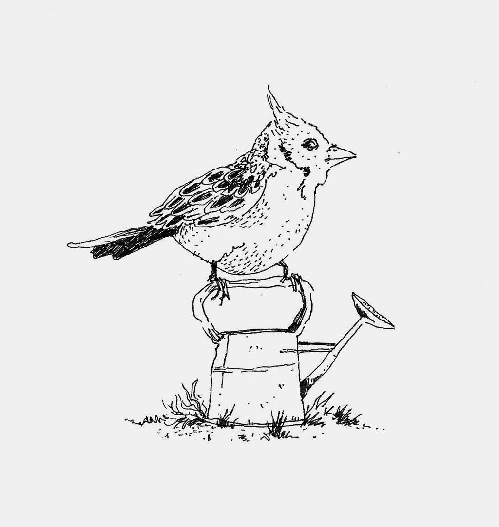 הספר ואיור מתוכו של ניקו אריספה. “לדמיין אופק" (איור: ניקו אריספה) פנאי איורים מתוך הספר גנים בימי מלחמה