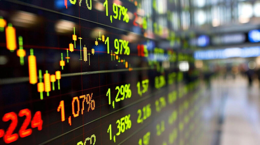 קסם קרנות נאמנות: מבחר מגוון וניהול מקצועי