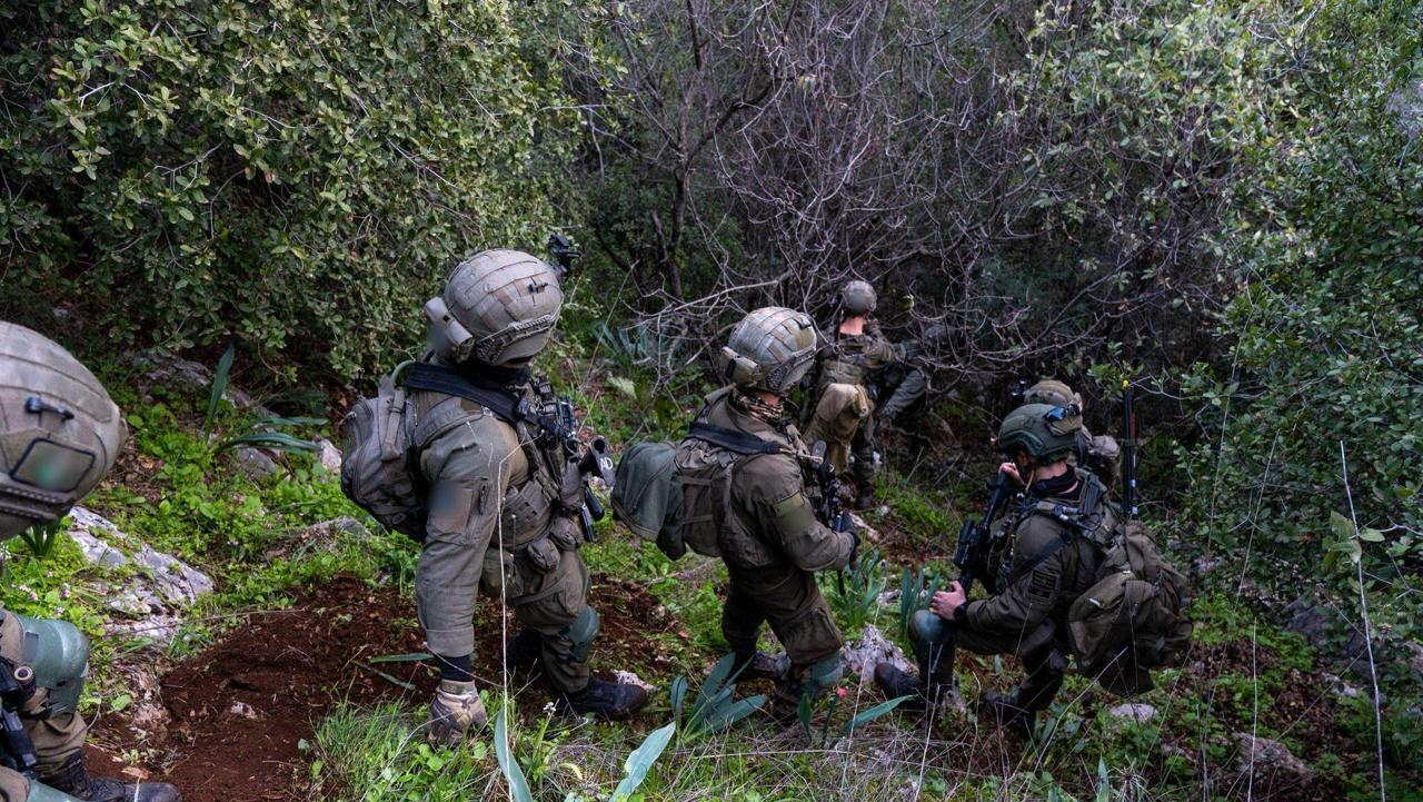 צה"ל חיילים הר דב מלחמה איראן לבנון שאגת הארי 2