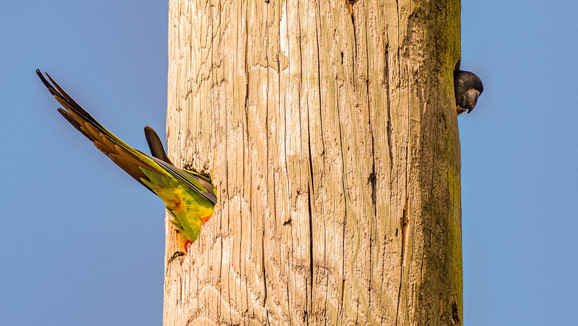 פוטו תמונות מצחיקות של חיות 6