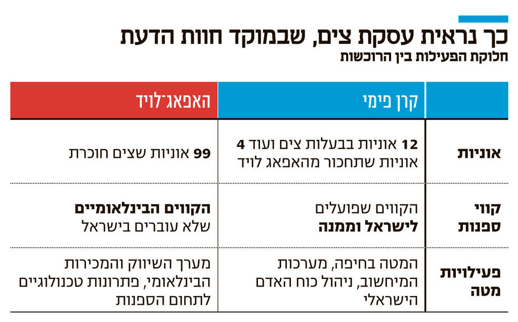 אינפו כך נראית עסקת צים, שבמוקד חוות הדעת