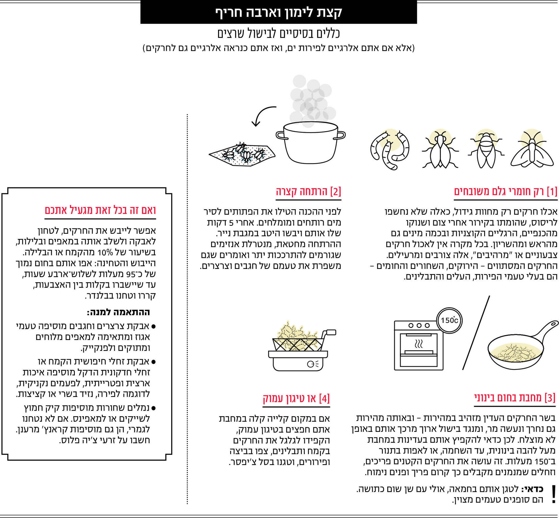 אינפו אוכל מוסף חרקים