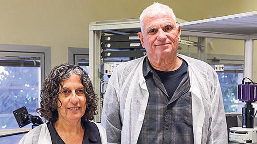 צילום: רועי חרמוני , אוניברסיטת חיפה להתגבר על פוסט־טראומה? חברה ישראלית מנסה לפתח תרופה שתנטרל זיכרון פתולוגי