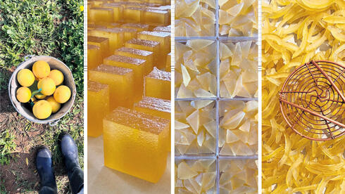 צילומים: הילה הוכמן, אוראל כהן "אין לנו פריבילגיה להתייאש": הילה הוכמן הופכת הדרים מחצרות השכנים למרמלדות וליקרים