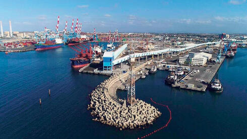 משבר הגרעינים בנמל אשדוד: מחסור בכוח אדם תוקע 100 אלף טון תבואה בלב ים