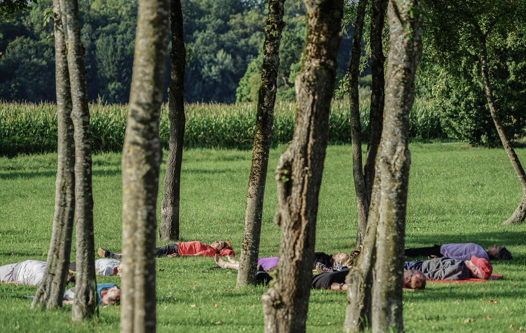 גרמנים נרגעים ביער. אבל מה זה יער? "מבחינה רפואית נרצה עצים בגובה מסוים, עם צפיפות מסוימת, שתעניק אור מסונן, לא יער חשוך מדי כמו בג'ונגל"