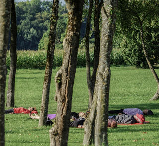 גרמנים נרגעים ביער. אבל מה זה יער? "מבחינה רפואית נרצה עצים בגובה מסוים, עם צפיפות מסוימת, שתעניק אור מסונן, לא יער חשוך מדי כמו בג'ונגל"