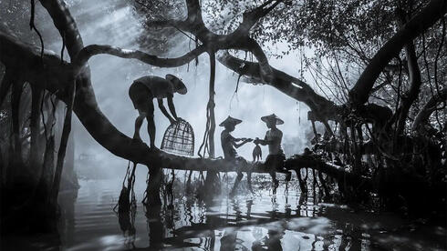 תפסו רגע: תמונות זוכות מתחרות צילומים של סוני