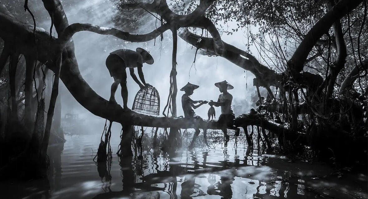 פוטו תחרות הצילום של סוני 2026 מיינמאר 