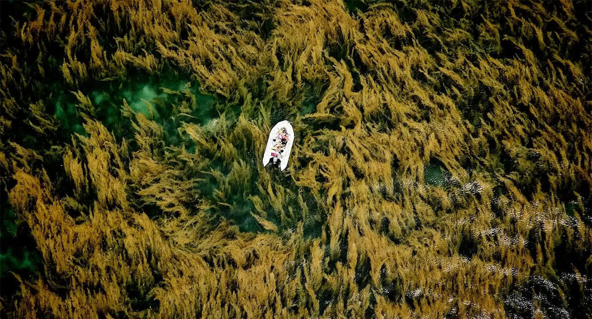 פוטו תחרות הצילום של סוני 2026 ויאטנם