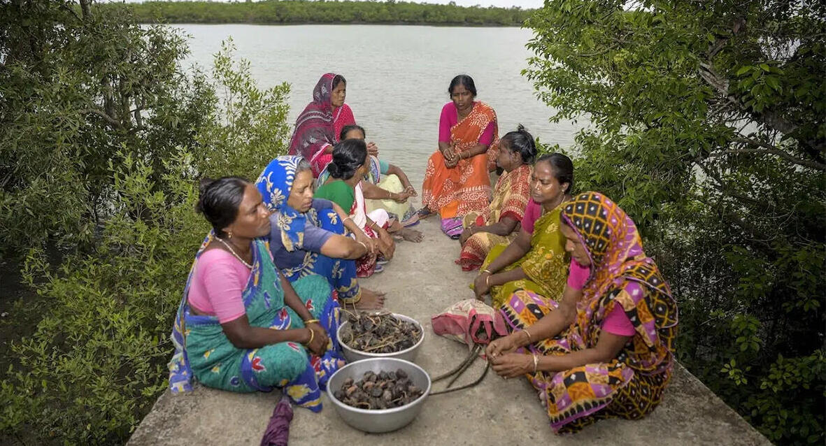 פוטו תחרות הצילום של סוני 2026 הודו