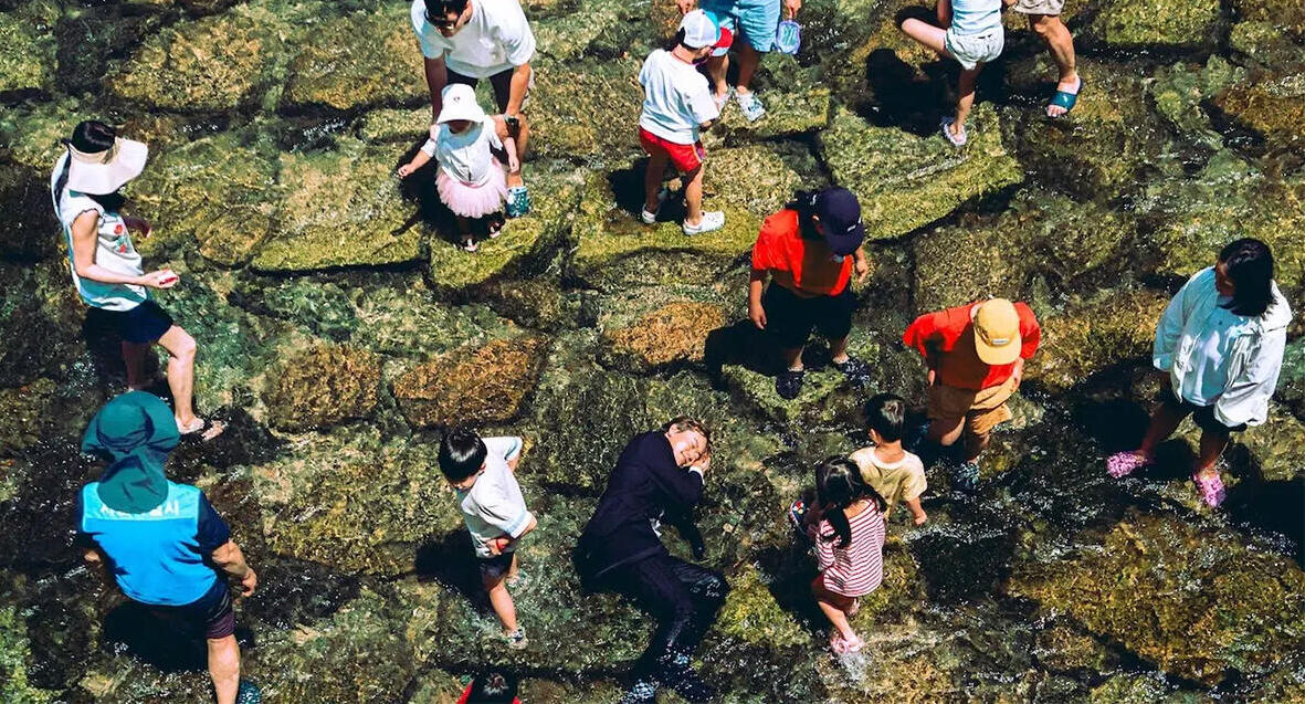 פוטו תחרות הצילום של סוני 2026 קוריאה
