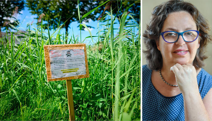 מוסף נדל"ן 2026 מימין רוני בריל ו שלט אזהרה מפני זיהום כימיקלים במי תהום בגרמניה