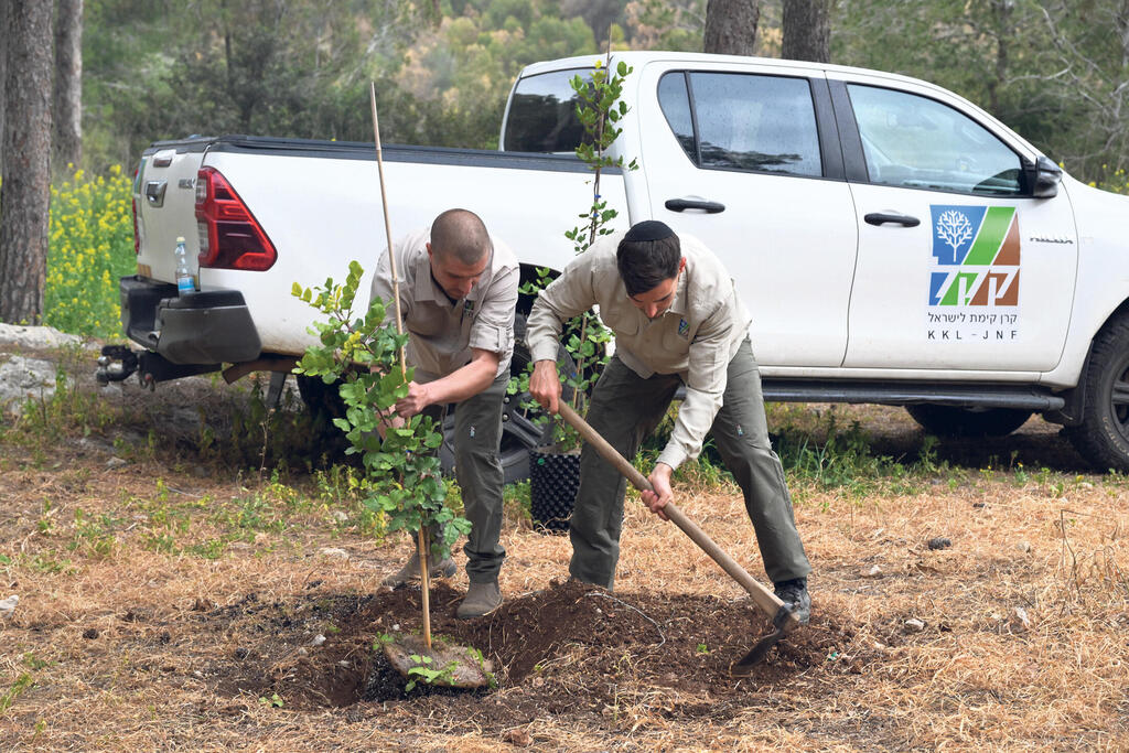 עובדי קק"ל (צילום: שלומי אמסלם) מוסף נדל"ן 2026 עובדי קק"ל
