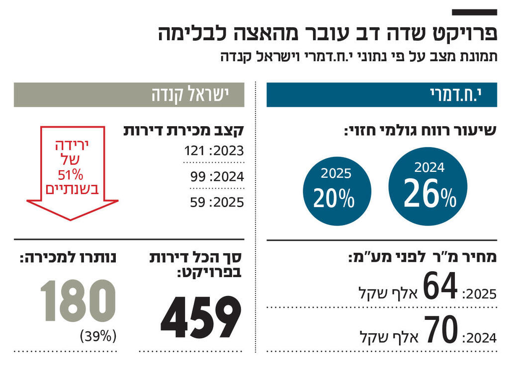 אינפו פרויקט שדה דב