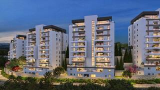 אפי בהר יונה