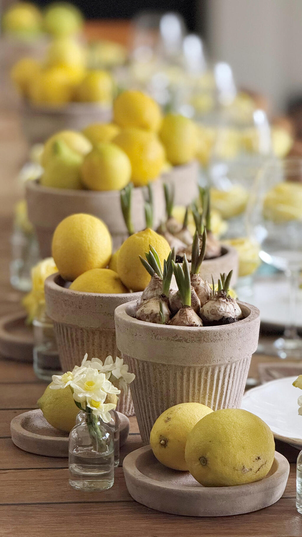 סידור שולחן לימוני של דרור גולן פנאי