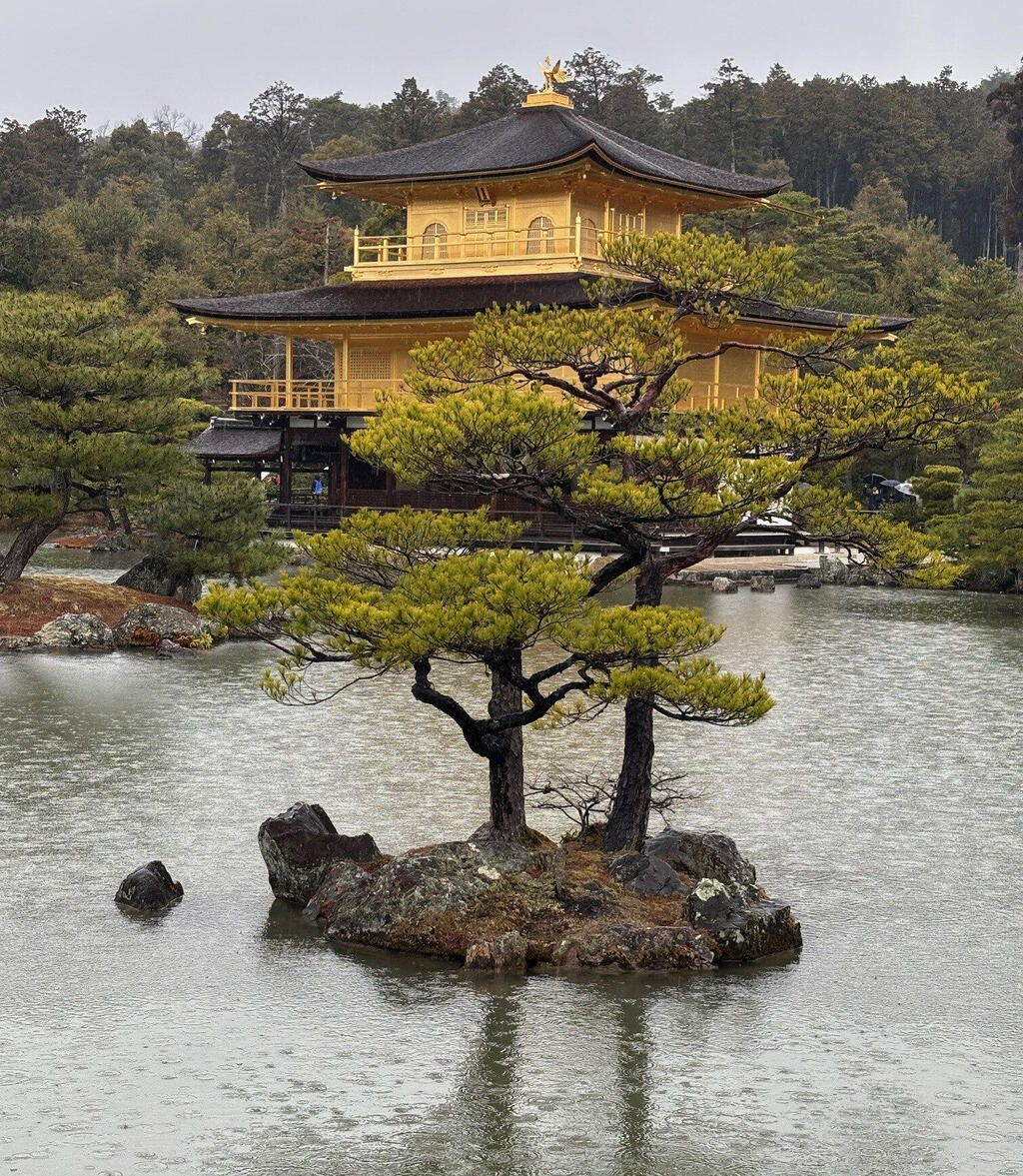 מקדש הזהב בקיוטו, יפן, בחודש שעבר. חשוב להזמין חופשה עתידית. חייבים לנעוץ בראש עתיד טוב יותר, לעצמנו ולמדינה, גם אם אנחנו לא באמת יודעים מתי הוא יגיע