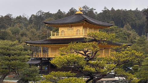 בתוך האנרכיה, אסמטרדמסקי מדמיין חופשה, ועתיד אחר | כלכליסט