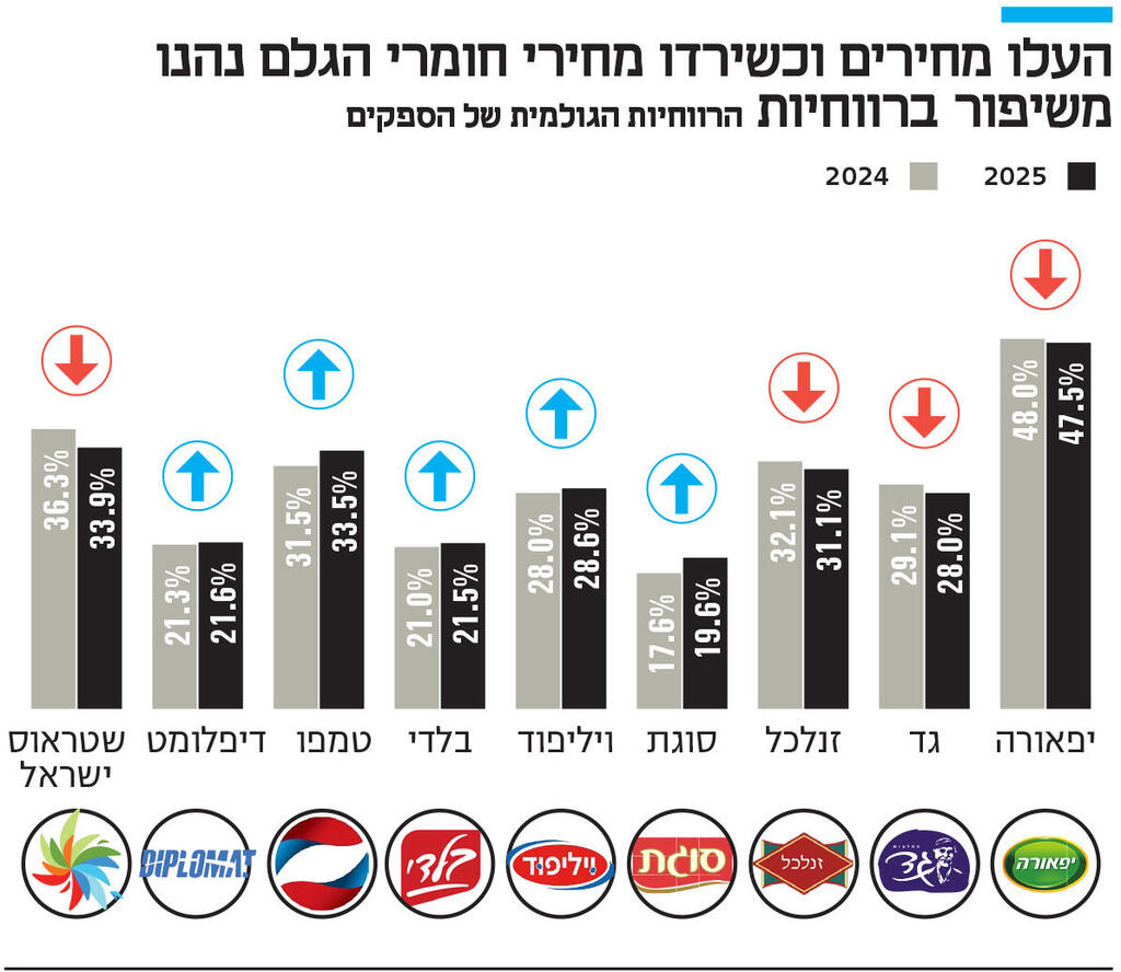 אינפו העלו מחירים וכשירדו מחירי חומרי הגלם נהנו משיפור ברווחיות