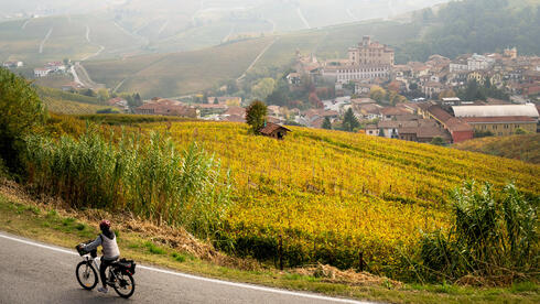 קפיצה קטנה למחוז היין הכי מרתק באיטליה