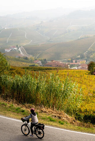 כרמים ליד הכפר ברולו שם מיוצר הנביולו. בזכותו נחשבים יינות המחוז למתוחכמים ויוקרתיים
