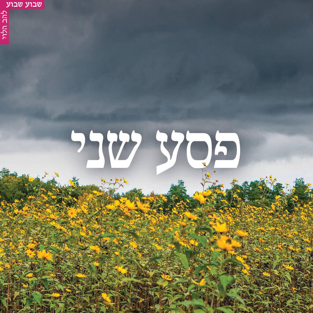 צילום: Shutterstock להב הלוי מוסף 09.04.26