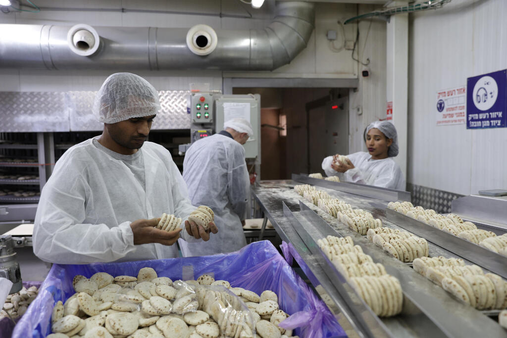 מפעל הפיתות הגדול מוסף ארי ליבסקר