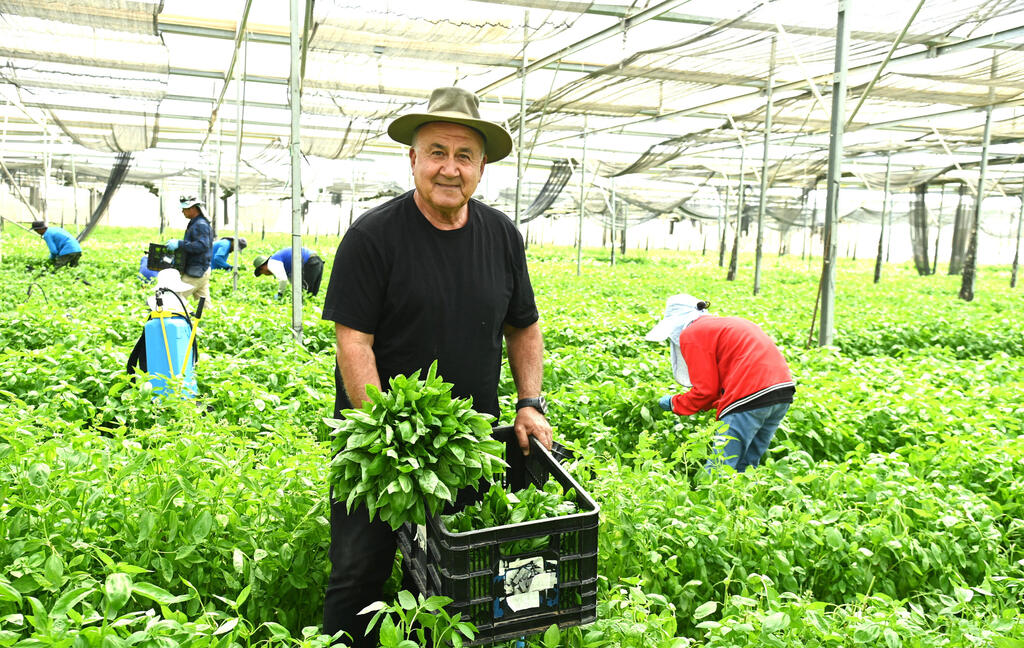 איציק רוזנברג - משק רוזנברג עין תמר מוסף
