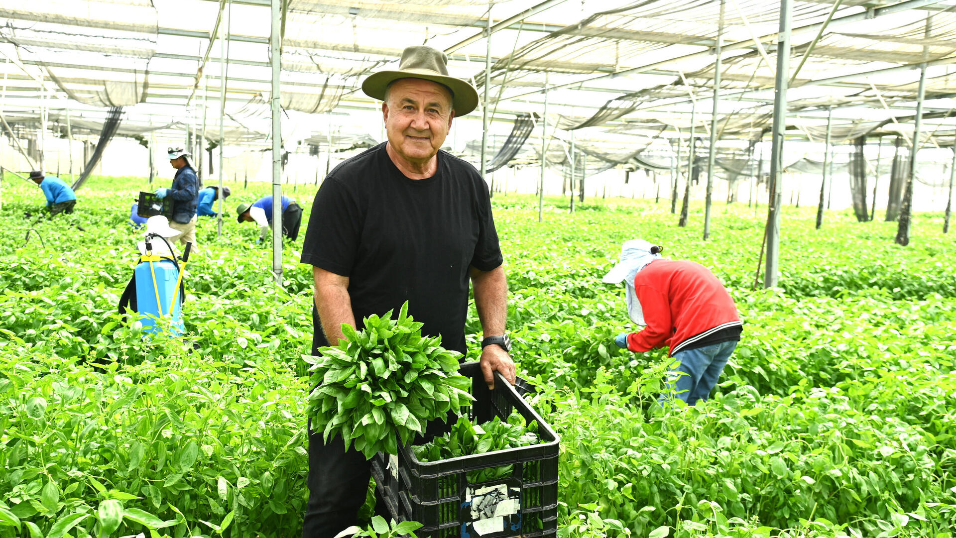 איציק רוזנברג - משק רוזנברג עין תמר מוסף